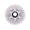 Piñon Thinkrider 11V