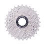 Piñon Thinkrider 11V