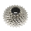 Piñon Thinkrider 12V